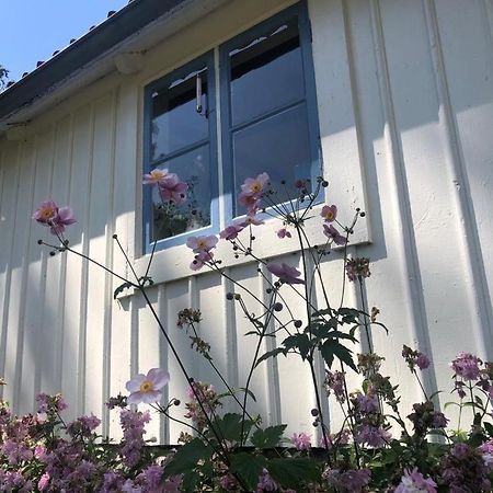 Seaside Cottage Haga Park Frobygarda Εξωτερικό φωτογραφία