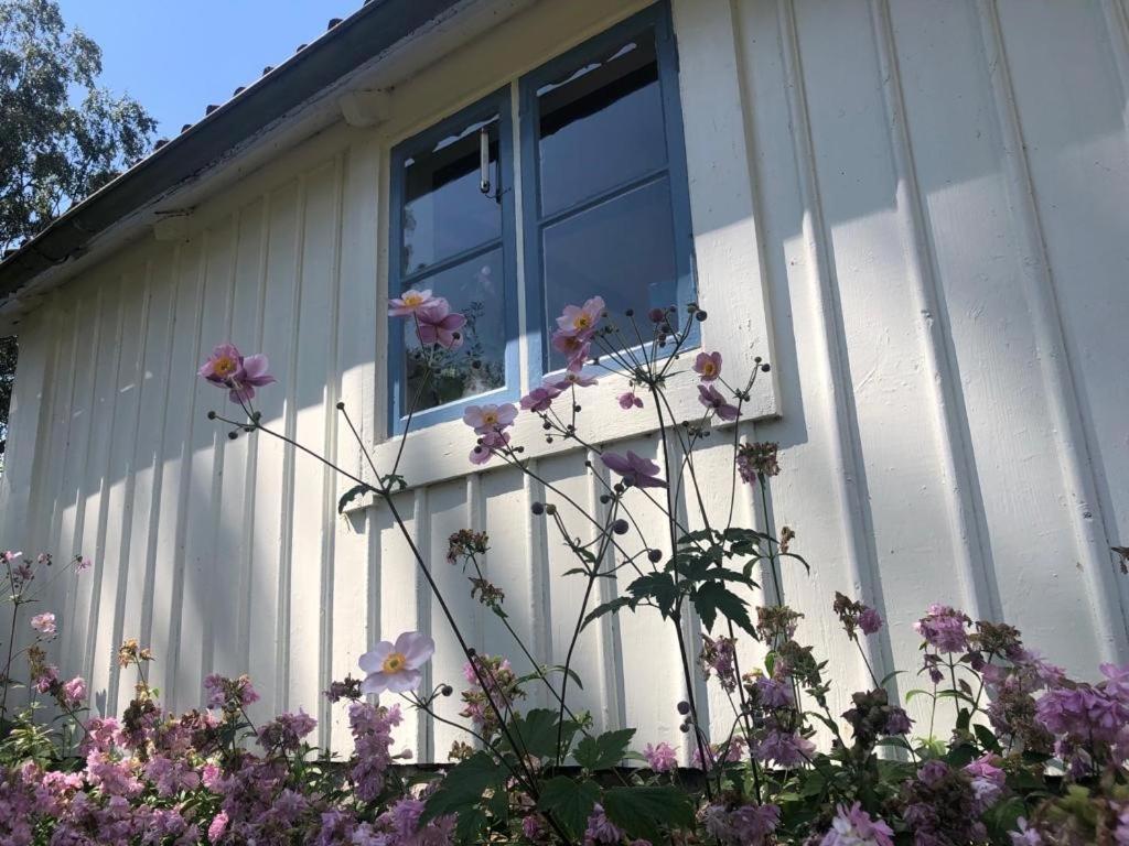 Seaside Cottage Haga Park Frobygarda Εξωτερικό φωτογραφία